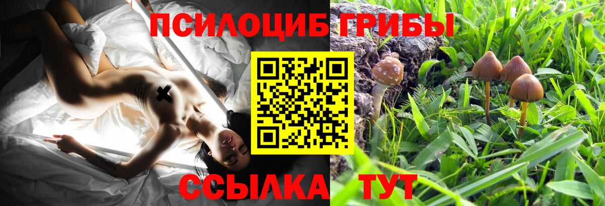 Сибай  Псилоцибиновые грибы прущие грибы  Вход с VPN 
